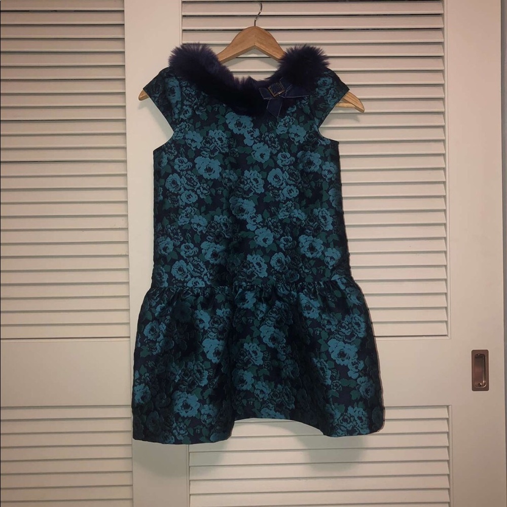 Blue, Green and Purple Fancy Dress